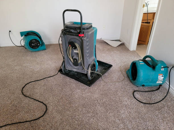 Best Water damage cleanup near me  in Estes Park, CO