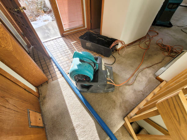 Best Emergency water damage restoration  in Estes Park, CO