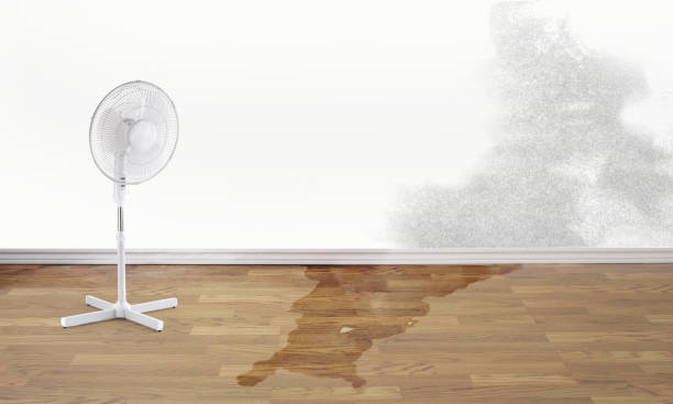 Best 24-hour water damage restoration  in Estes Park, CO
