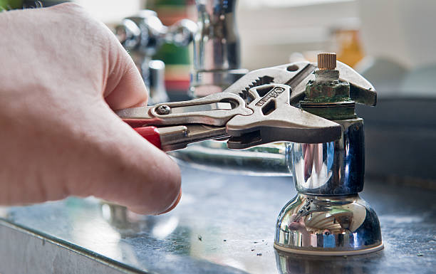 Best Mold removal after water damage  in Estes Park, CO