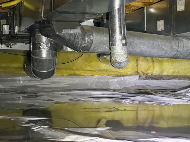 Best Water damage contractors near me  in Estes Park, CO