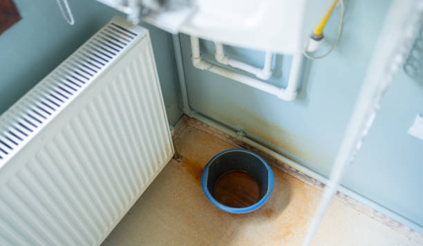 Best Flood restoration services  in Estes Park, CO