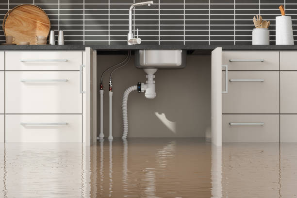 Best Sewage cleanup and water damage restoration  in Estes Park, CO