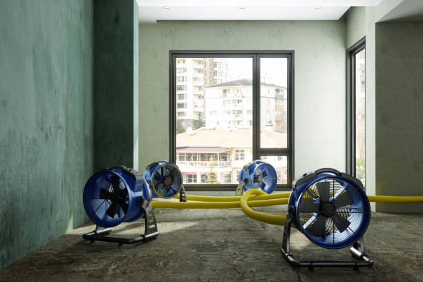 Best Residential water damage restoration  in Estes Park, CO