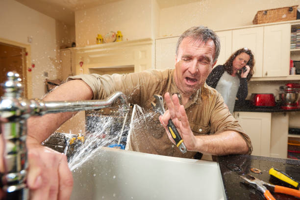 Best Professional water damage repair  in Estes Park, CO